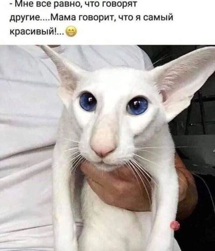 Мне все равно что говорят другие Мама говорит что я самый красивыйв