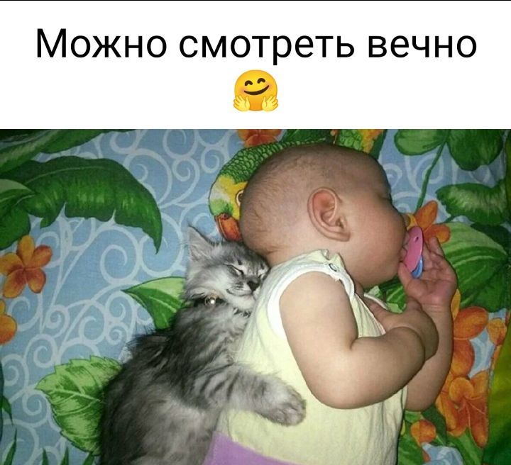 Можно смотреть вечно