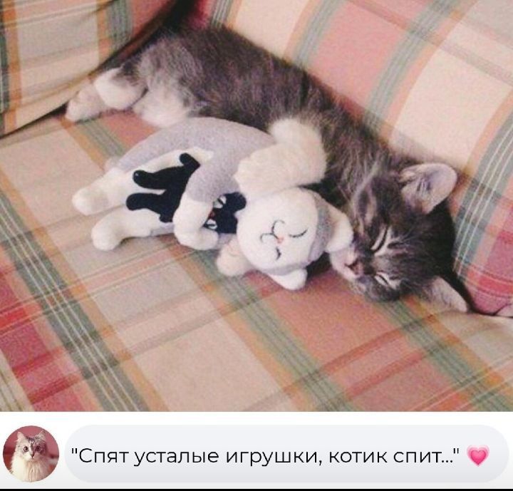 а Спят усталые игрушки котик спит 4