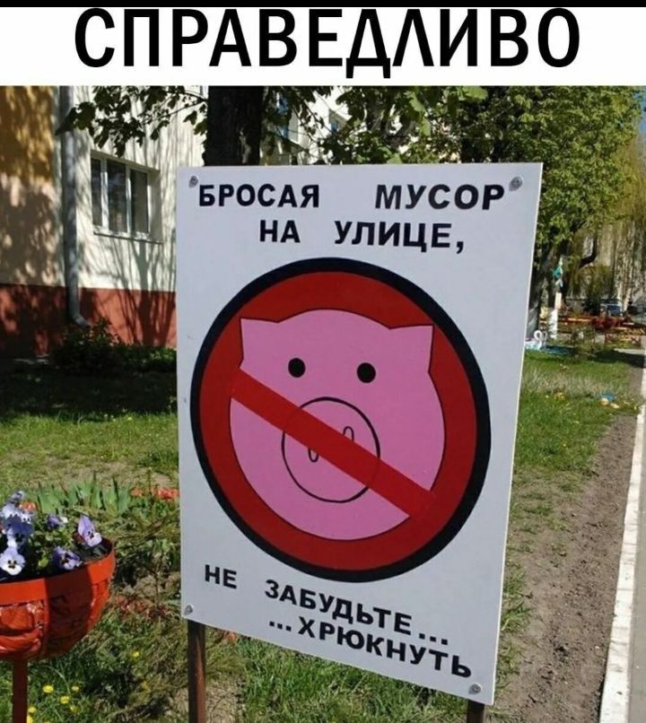 РЦ вросАя мусор у нд улицв