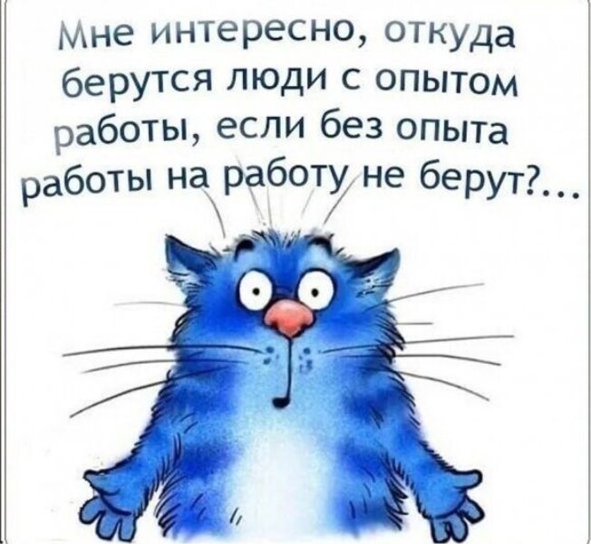 Мне интересно откуда берутся люди с опытом работы если без опыта работы наработ не берут __