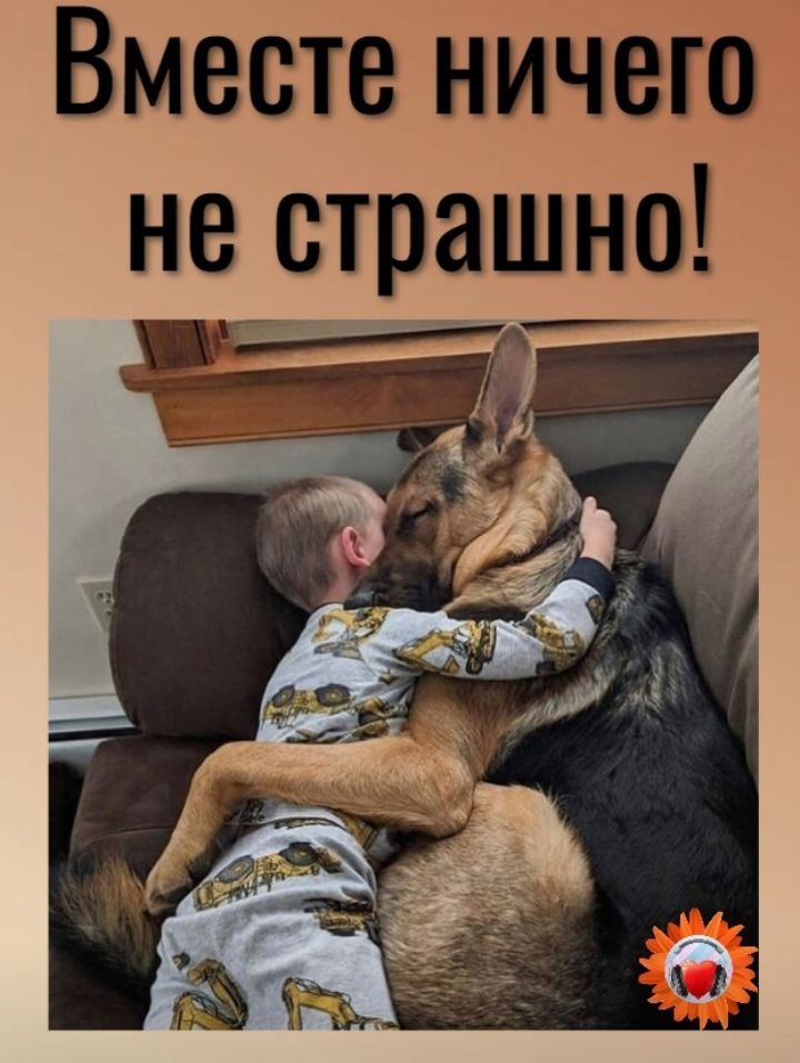 Вместе ничего нестрашно