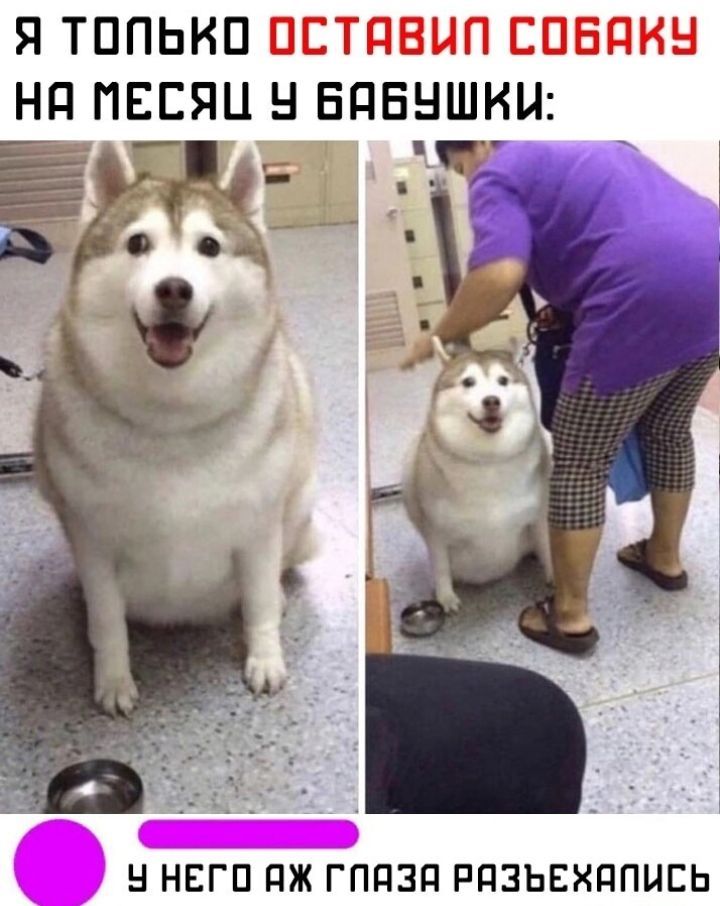 Я ТППЬКП Нд ПЕЕЯЦ Н ЕПЕНШКЦ ЁЖ НЕГП ПЖ ГППЗП РПЗЬЕХППЦЕЬ