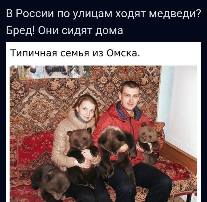 В России по улицам ходят медведи Бред Они сидят дома Типичная семья из Омска