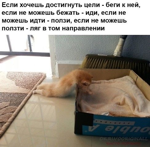 Если хочешь достигнуть цели беги к ней если не можешь бежать Иди если не можешь идти попзи если не можешь ПОПЗТИ ПЯГ В ТОМ КЗПРЗВПЕМИИ