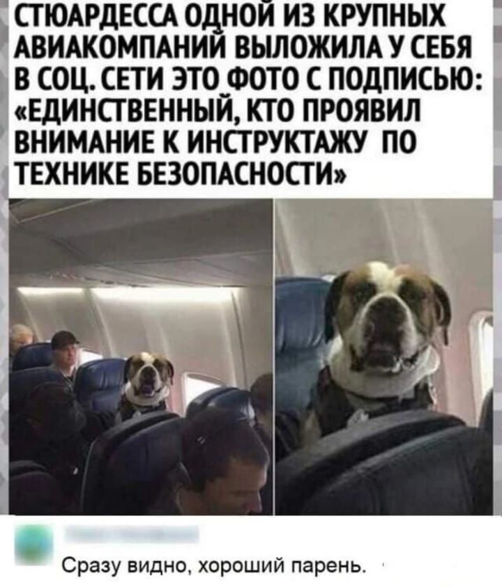 СПОАРдЕССА ОдНОИ ИЗ КРУПНЫХ АВИАКОМПАНИИ ВЬШОЖИЛА У СЕБЯ В СОЦ СЕТИ ЭТО ФОТО С ПОДПИСЬЮ ЕДИНСТВЕННЫЙ КТО ПРОЯВИЛ ВНИМАНИЕ К ИНСТРУКТАЖУ ПО ТЕХНИКЕ БЕЗОПАСНОСТИ Сразу видно хороший парень
