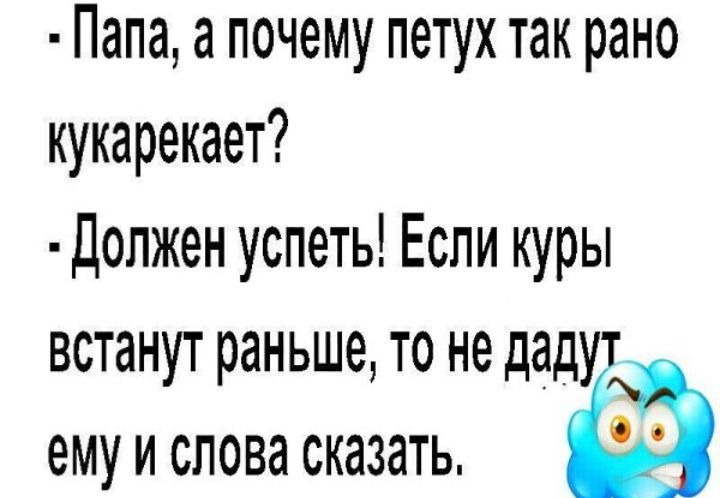 Папа а почему петух так рано кукарекает Должен успеть Еспи куры встанут раньше то не даду ему и слова сказать