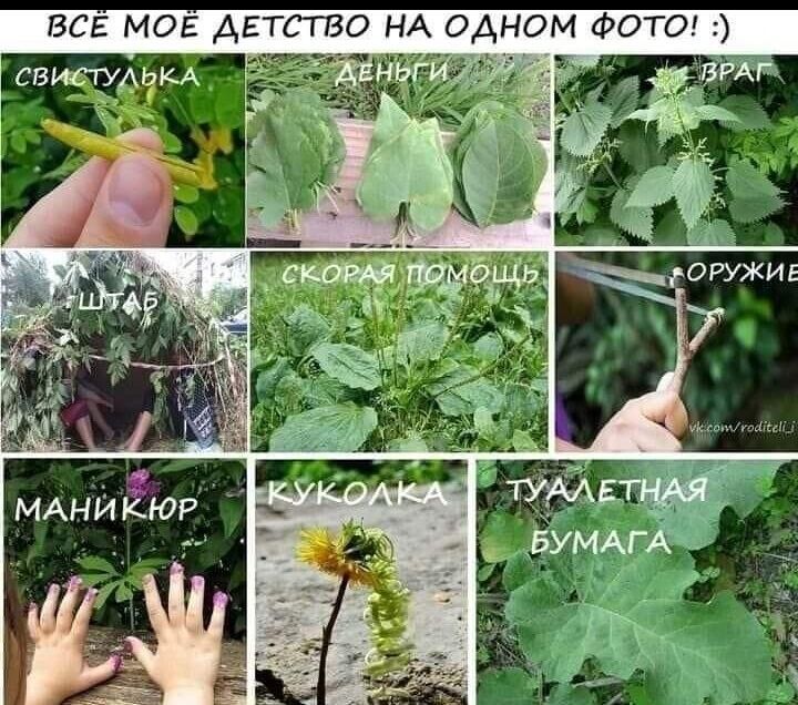 ТСГБО НА ОАНОМ ФОТО