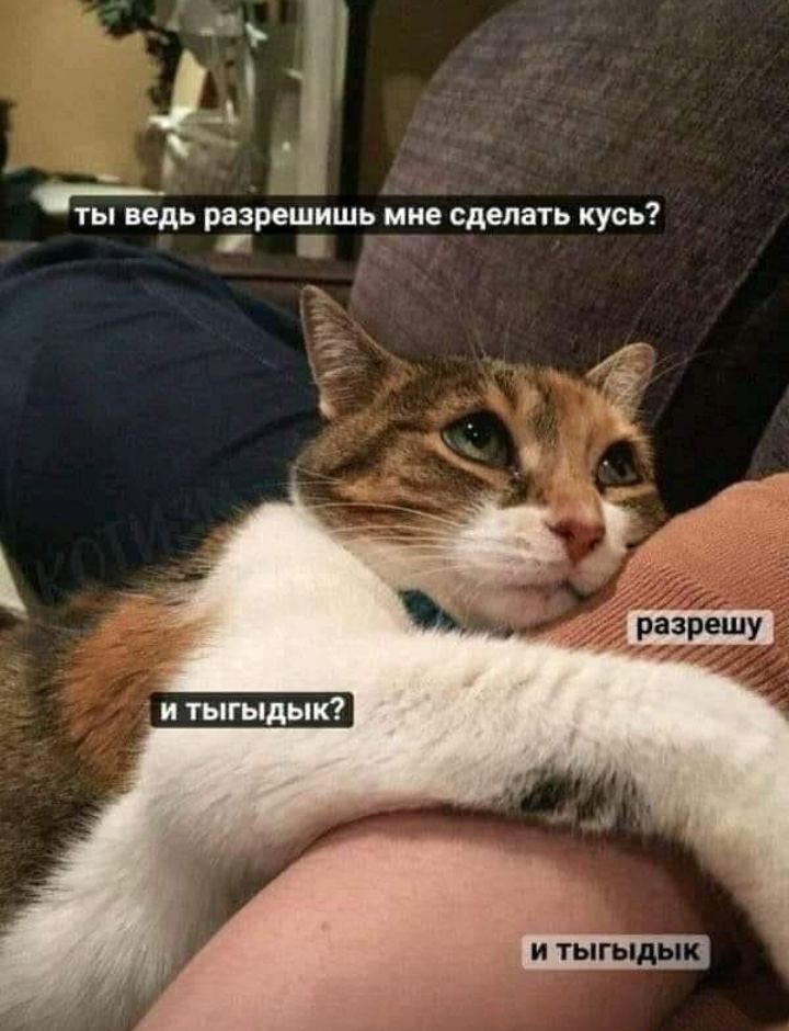 д _ ты ведь разрешить мне сделать кус Ё _ К и тыгыдык