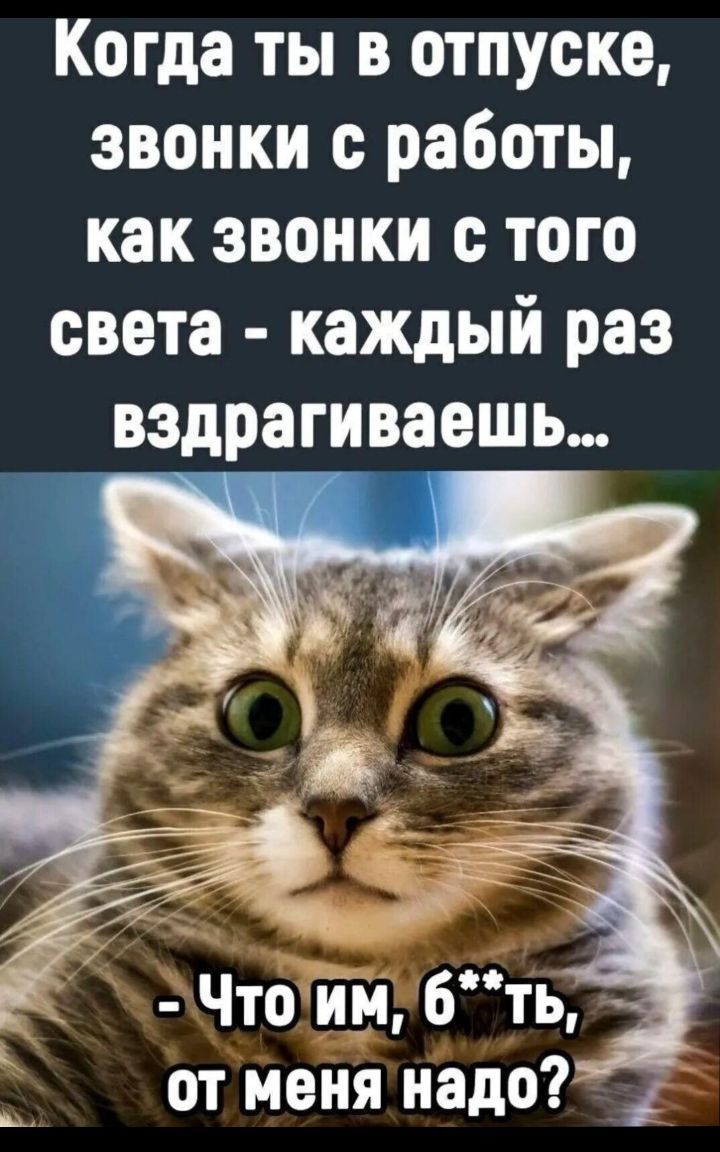 Когда ты в отпуске звонки с работы как звонки с того света каждый раз вздрагивает Что він 6ть от меня надо