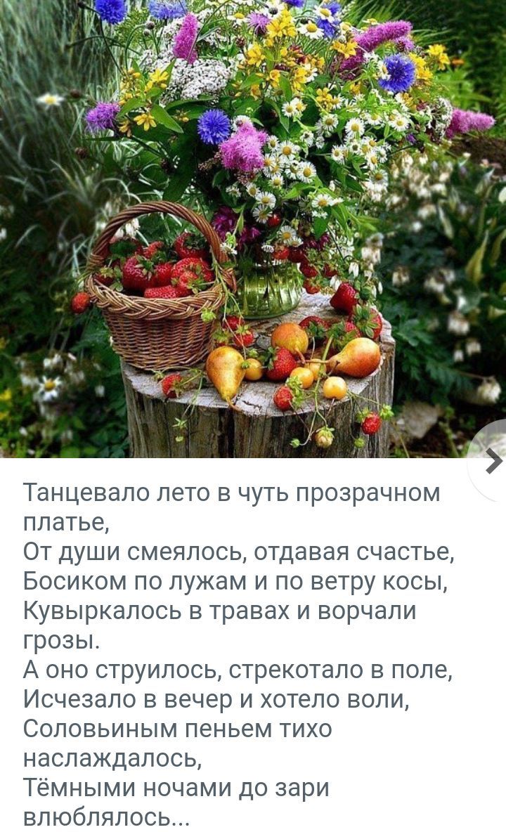 Танцевапо лето а чуть прозрачном платье От Души смеялось отдавая счастье Босиком по лужам и по ветру косы Кувыркапось в травах и ворчапи грозьъ А оно струипось стрекотало в поле Исчезало в вечер и хотело воли Соповьиным пеньем тихо наспаждалось Тёмными ночами до зари впюбпяпось