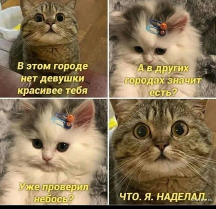 В этом гораде _ЁЁТ девушки красивее тебя ЧТО Я НАДЕЛАіщ