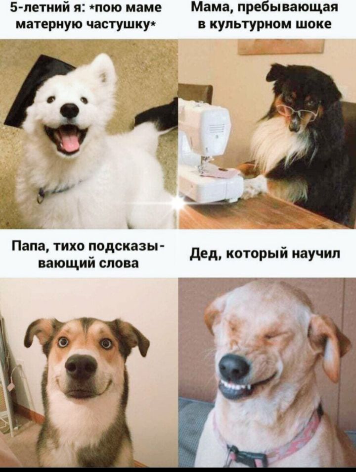 5петиий я пою маме Мама пребывающая материую часгушку культурном шоке 4 4 _ Папа тихо подсказы вающий спо а дед который научил