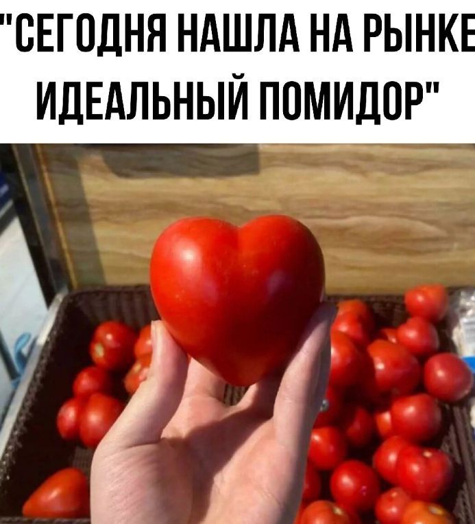 СЕГПДНЯ НАШЛА НА РЫНК ИДЕАЛЬНЫЙ ППМИДОР
