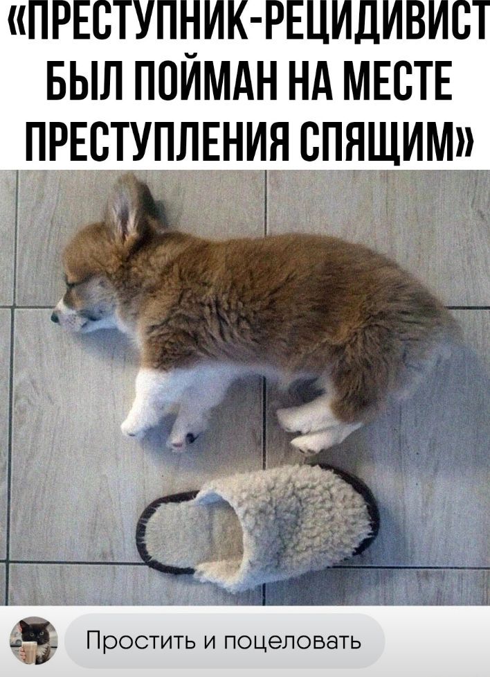 ПРЕСТУПНИК РЕЦИДИВИСТ БЫЛ ПОИМАН Нд МЕСТЕ ПРЕСТУПЛЕНИЯ СПЯЩИМ 35 ПрОСТИТЬ И ПОЦЭПОБЗТЬ