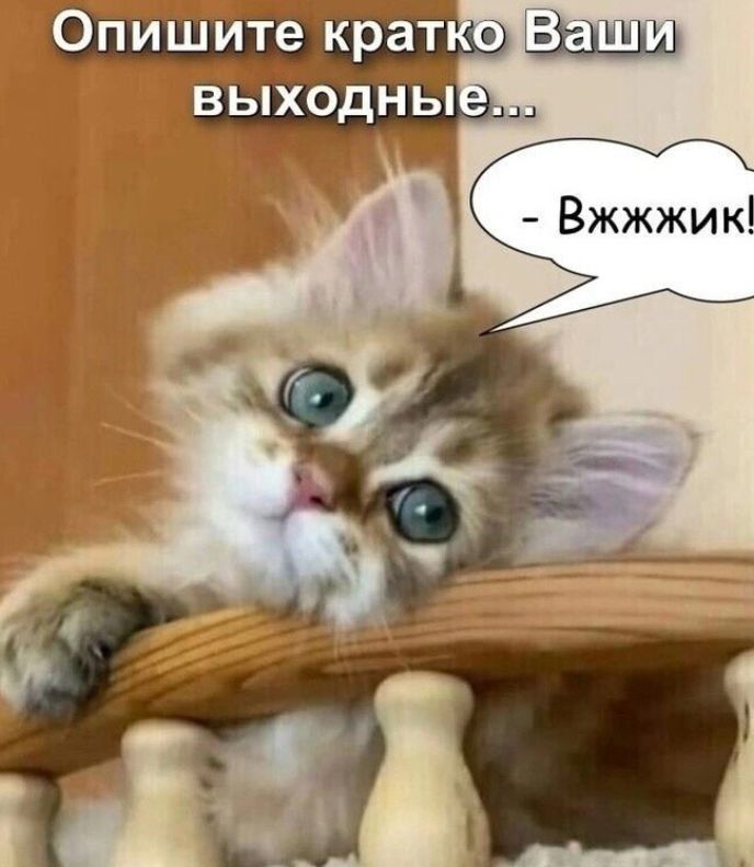 Опиш те крат 9 Ш ьходны Вжжжик