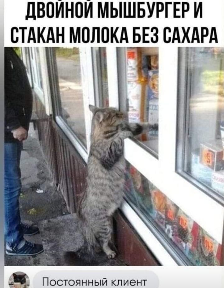 ЛВОИНПИ МЫШБУРГЕР И ВТКАН МПЛПК БЕЗ САХЭЕА _ ПОСТОЯННЫЙ КЛИЕНТ