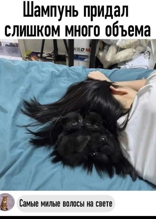 Шампунь придал слишком много объема _ ЁЗМЫЕ МИЛЫЕ ВПЛОЕЫ на СВЕТЕ