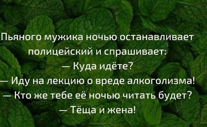 ПЬЯНОГО МУЖИКЭ НОЧЬЮ ОСТЕНЕЕПИЕБЕТ полицейский и спрашивает Куда идёте Иду на лекцию и вреде алкоголизма Кто же тебе её ночью читать будет Тёща и жена