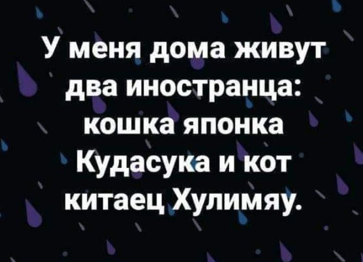 У меня дома живут два иностранца кошка японка Кудасука и кот китаец Хупимяу