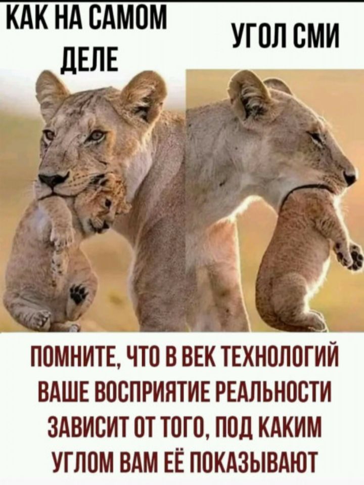 КАК НА САМОМ ДЕЛЕ УГОЛ СМИ ПОМНИТЕ ЧТО В ВЕК ТЕХНОЛОГИЙ ВАШЕ ВОСПРИЛТИЕ РЕАЛЬНОСТИ ЗАВИСИТ ОТ ТОГО ПОЛ КАКИМ УТЛОМ ВАМ ЕЁ ПОКАЗЫВАЮТ