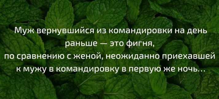 Муж вернувшийся из командировки на день раньше это Фигня по сравнению женой неожиданно приехавшей мужу в командировку в первую же ночь