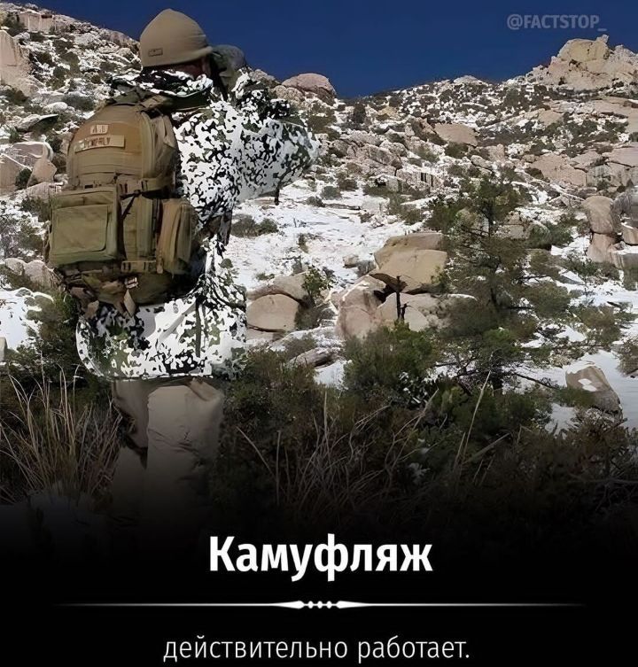 Камуфляж действительно работает