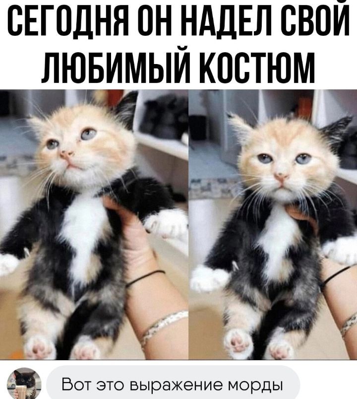 СЕГОДНЯ 0Н_НАДЕЛ СВОЙ ЛЮБИМЫИ КОСТЮМ Ч с__ 0 40 з