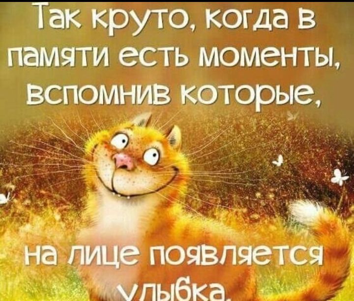 Так круто когда в памяти есть моменты вспомнив которые а А д 4 _ на появляется пыбка