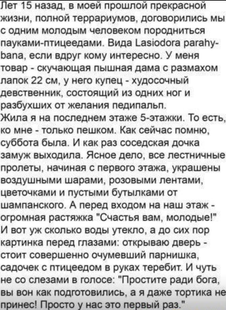 1 ет 15 назад в моей прошп рекрасной жизни полной террариумов договорились мы С ОДНИМ МОЛОДЫМ человеком породниться паукамиптицеедами Вида Ьазсооога рагаПу рапа если вдруг кому интересно У меня товар скучающая пышная дама с размахом папок 22 см у него купец худосомный девственник состоящий из одних ног и разбухших от желания педипвльп Жипа я на последнем этаже 5этажки То есть ко мне только пешком 