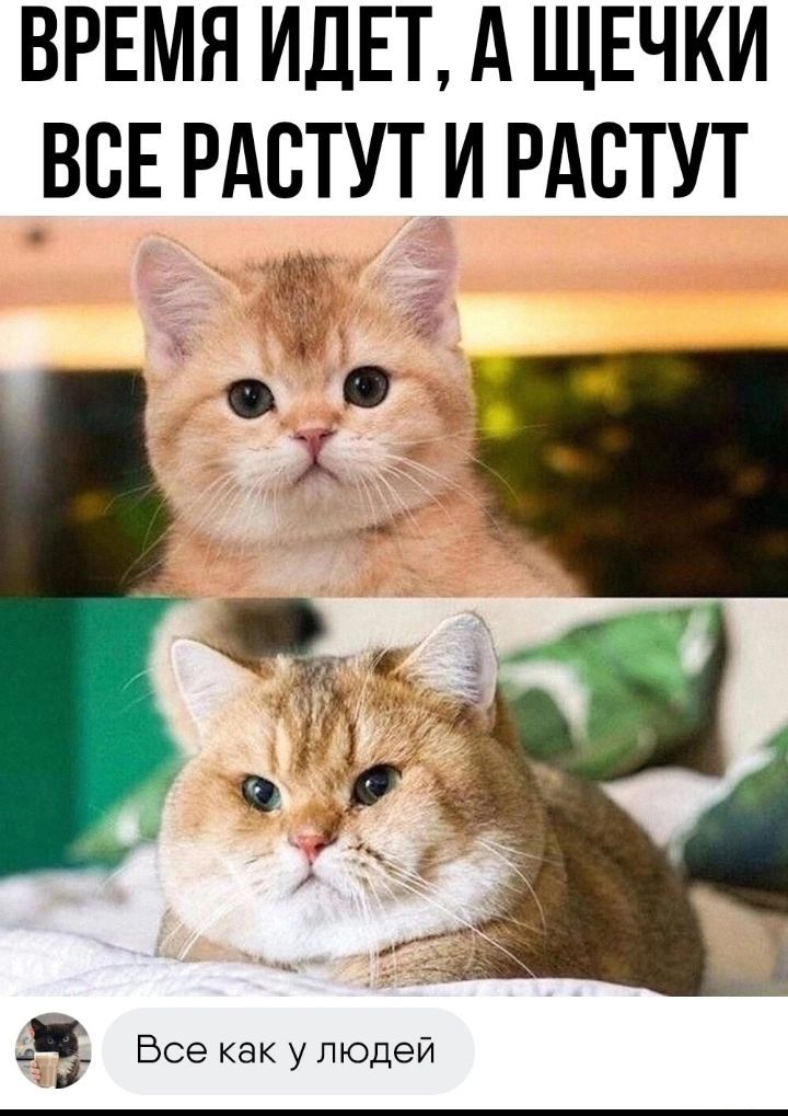 ВРЕМЯ ИДЕТ А ЩЕЧКИ ВСЕ РАСТУТ И РАВТУТ