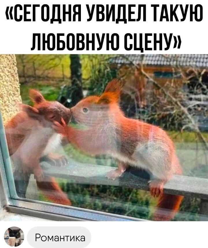 сЕгодня увидел ТАКУЮ _ лювовнуюсЦЕну_д_