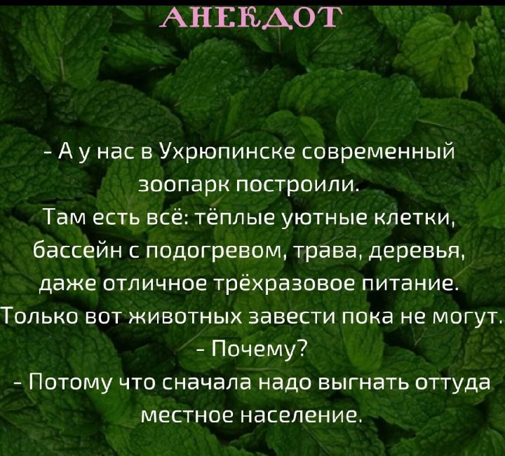 АНЕЕАОТ Ау нас в Ухрюпинске современный зоопарк построили Там есть всё тёплые уютные клетки бассейн с подогревом трава деревья даже отличное трехразовое питание Только вот животных завести пока не могут Почему Потому что сначала надо выгнать отгуда местное население