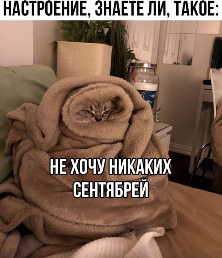 НЕ хочу никадких СЕНТЯБРЕИ