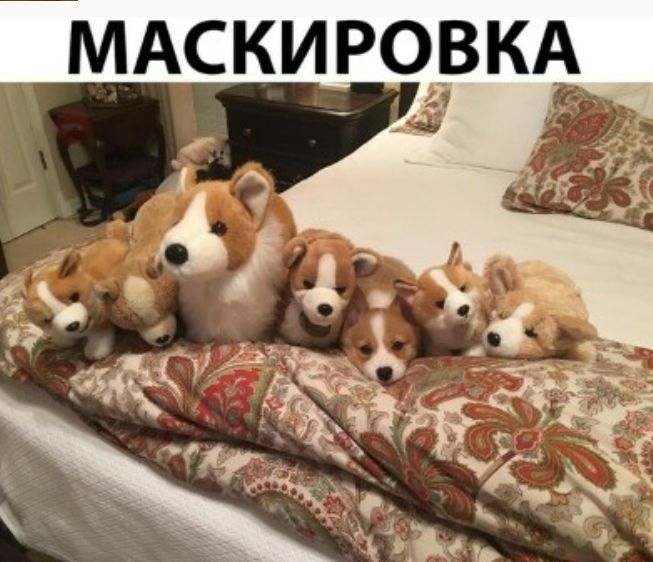 МАСКИ РСЗЁВКА