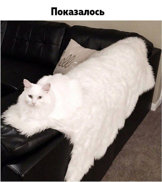 Показалось