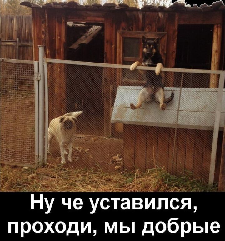проходи мы добрые