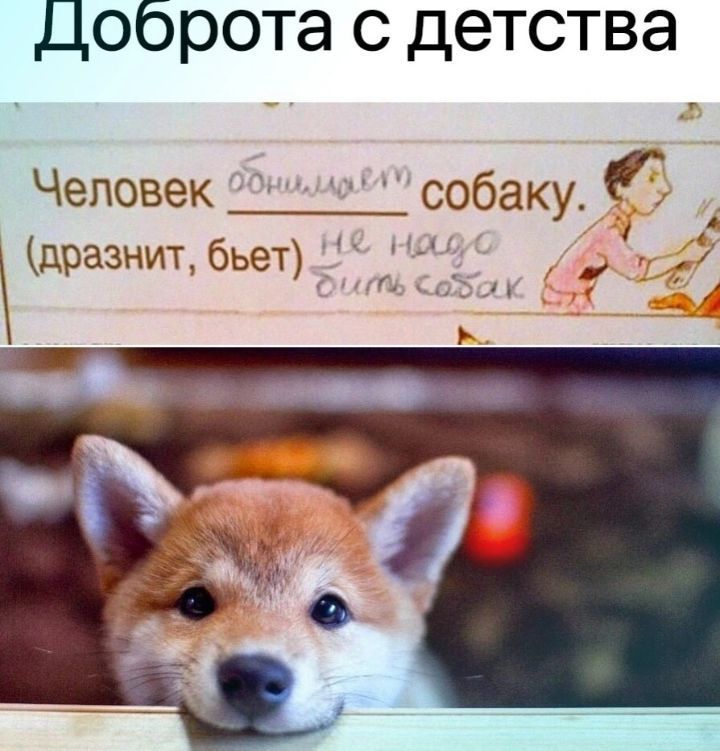 Доброта С детства Человек _ссжбаку дразнит бьет _