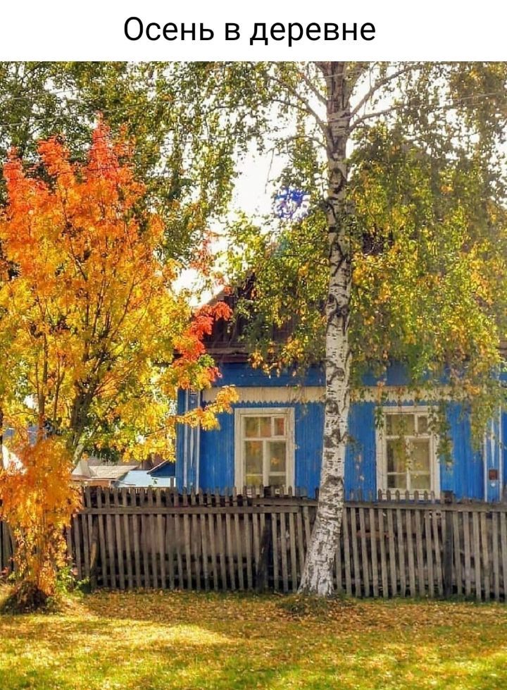 Осень в деревне