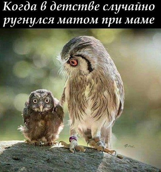 Когда б дгтстбе случайно ругнугся матом при маме