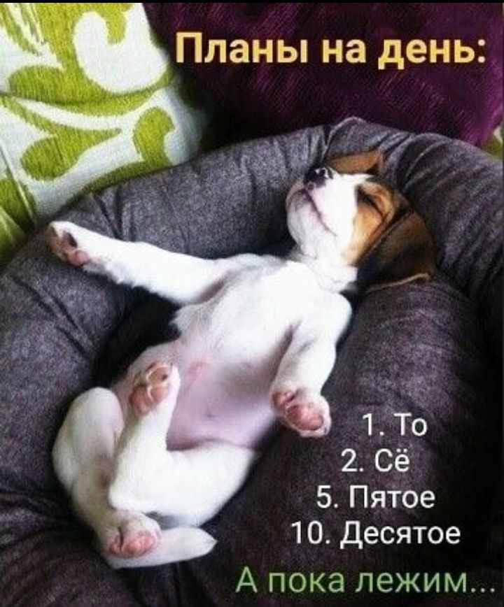Ё Планы на день 1 То 2 Сё 5 Пятое 10 Десятое ПСКЫ ПВКИМ