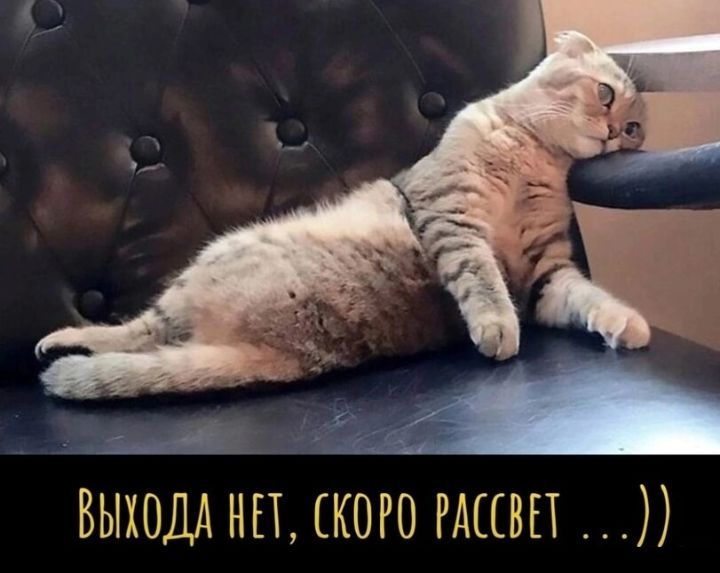 и ВЫХОДА НП КОРО РАЦИИ