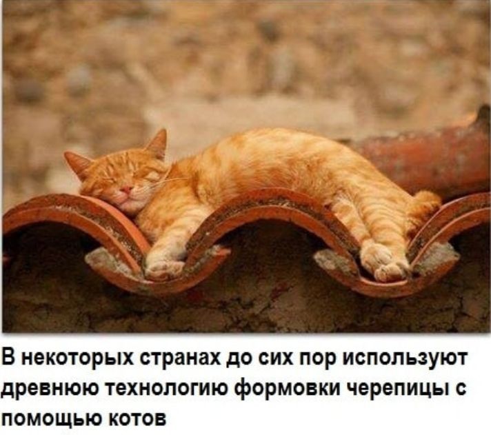 В НОКОТОРЫХ странах до СИХ ПОР используют древнюю технологию формовки черепицы помощью квтон