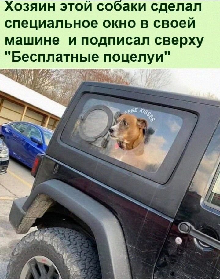 озяин этои со аки сделал специальное окно в своей машине и подписал сверху Бесплатные поцелуи