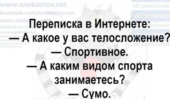 Переписка в Интернете А какое у вас телосложение Спортивное А каким видом спорта занимаетесь Сумо