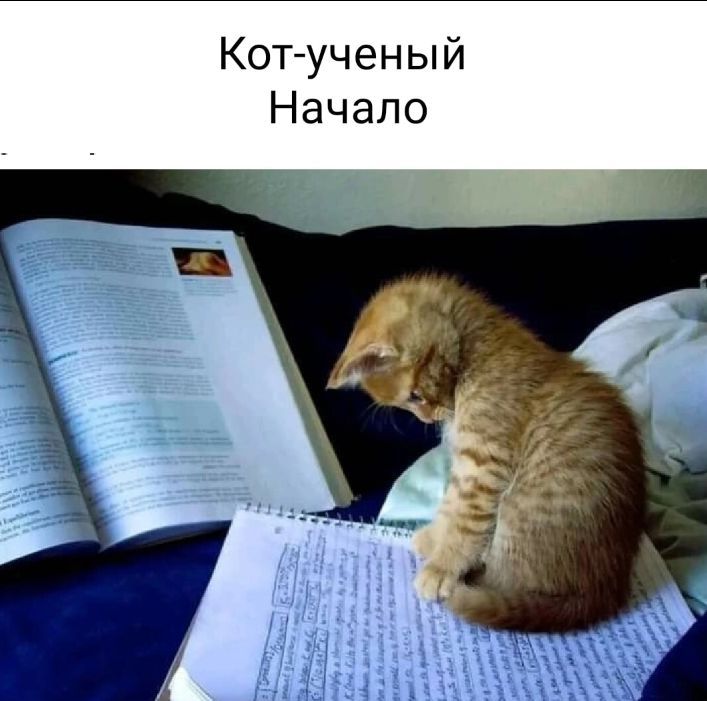 Кот ученый Начало