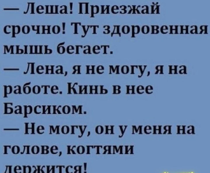 Леша Приезжай срочно Тут здоровенная мышь бегает Лена я не могу я на работе Кинь в нее Барсиком Не могу он у меня на голове КОПЯМИ пепжится