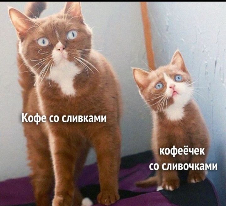 кофеёчек со сливочками