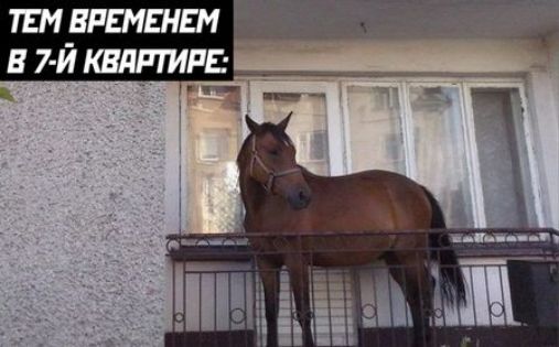 М_ВРШШЕМ