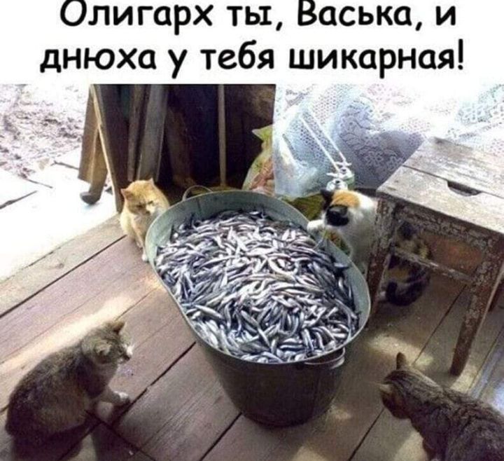 Олигарх ты аська и днюха у тебя шикарная